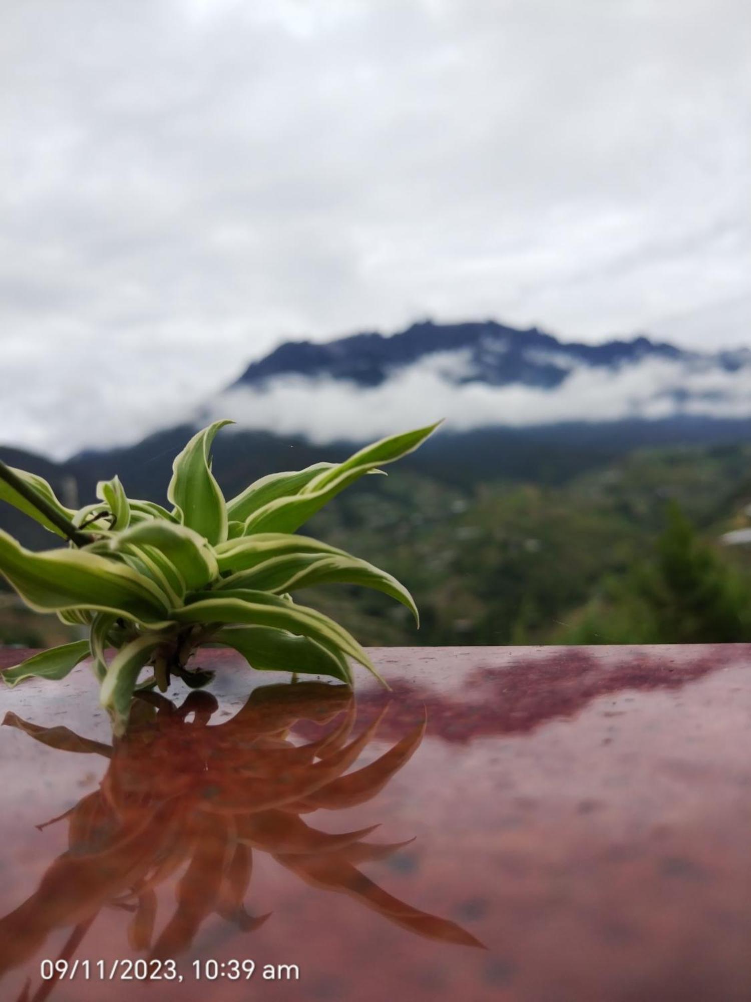 Highland Homestay Kundasang ラナウ エクステリア 写真